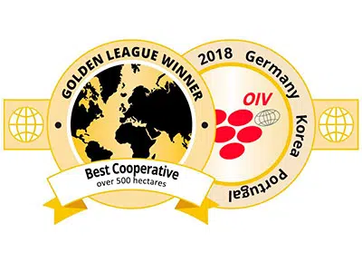 mejor-cooperativa-vinicola